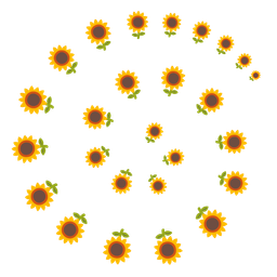 cyclone and sunflower