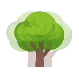 deciduous tree and beating heart