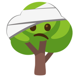 deciduous tree and face with head-bandage