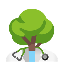 deciduous tree and stethoscope