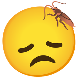 disappointed face and cockroach
