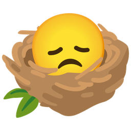 disappointed face and empty nest