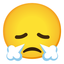 disappointed face and face with steam from nose