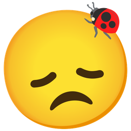 disappointed face and lady beetle
