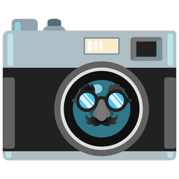 disguised face and camera