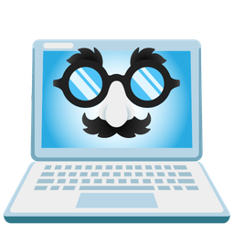 disguised face and laptop