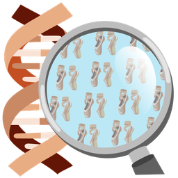 dna and ballet shoes