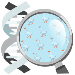 dna and goose