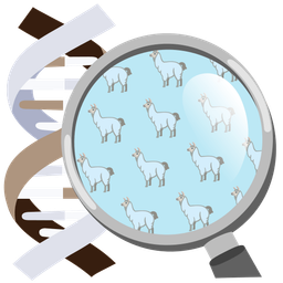 dna and llama