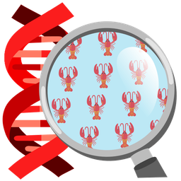 dna and lobster