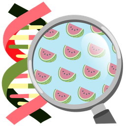 dna and watermelon