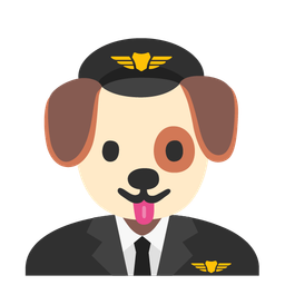 dog face and airplane