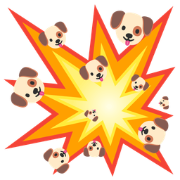 Dog face and Collision