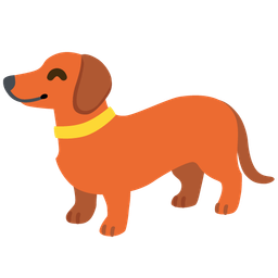 dog face and hot dog