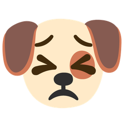 Dog face and Persevering face