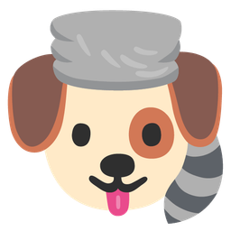 Dog face and Raccoon