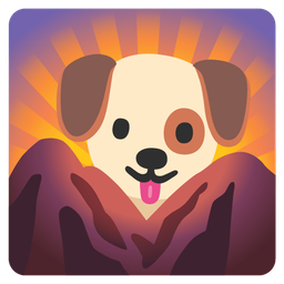 dog face and sunrise over mountains