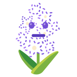 dotted line face and hyacinth