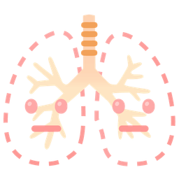 dotted line face and lungs