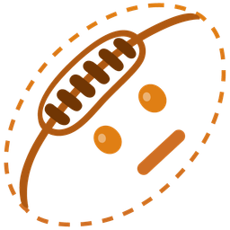 dotted line face and rugby football
