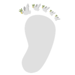 dove and footprints