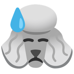 Downcast face with sweat and Poodle