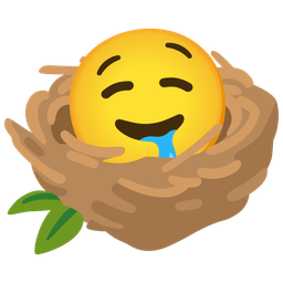 drooling face and empty nest