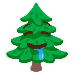 drooling face and evergreen tree