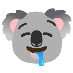 drooling face and koala