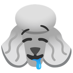 drooling face and poodle