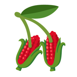 ear of corn and cherries