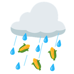 ear of corn and cloud with rain
