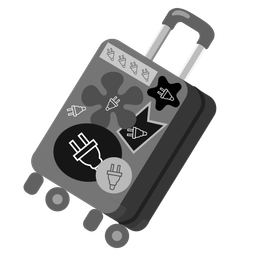 Electric plug and Luggage
