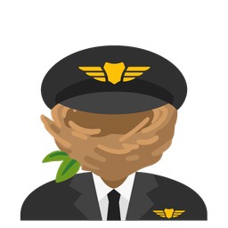 empty nest and airplane