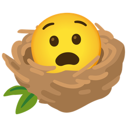 empty nest and anguished face