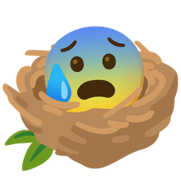 empty nest and anxious face with sweat