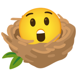 empty nest and astonished face