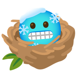 empty nest and cold face