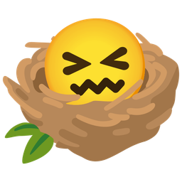 empty nest and confounded face