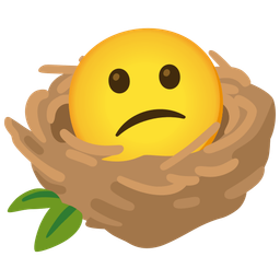 empty nest and confused face