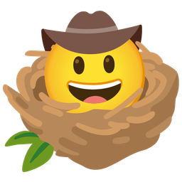 empty nest and cowboy hat face