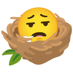 empty nest and face exhaling