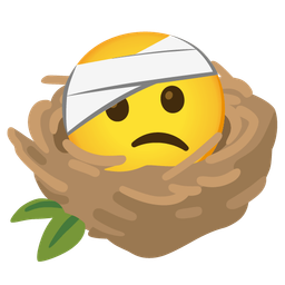 empty nest and face with head-bandage