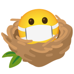 empty nest and face with medical mask