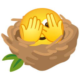 empty nest and face with peeking eye