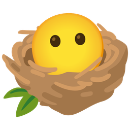 empty nest and face without mouth