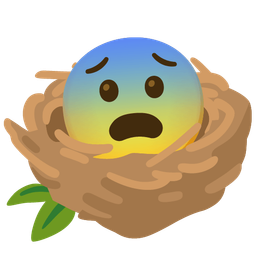 empty nest and fearful face