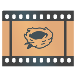 empty nest and film frames