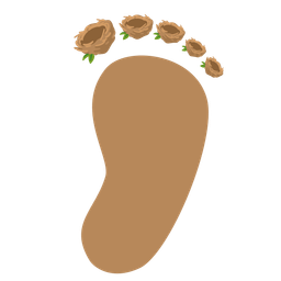 empty nest and footprints