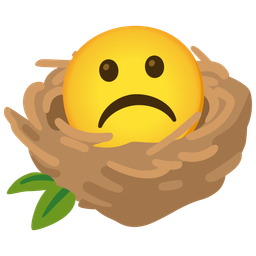 empty nest and frowning face